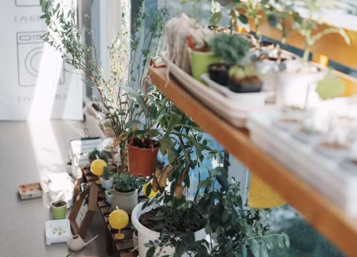 Balcón urbano con varias macetas de plantas verdes y hierbas comestibles junto a una ventana.