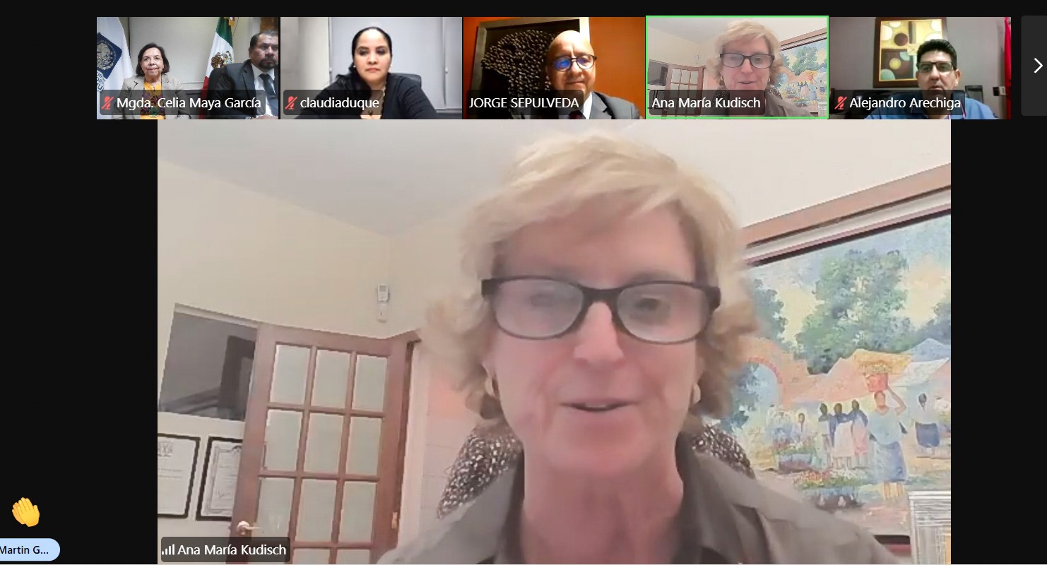 Participantes de una reunión virtual entre el Tribunal de Disciplina Judicial y representantes de la Barra Mexicana de Abogados.